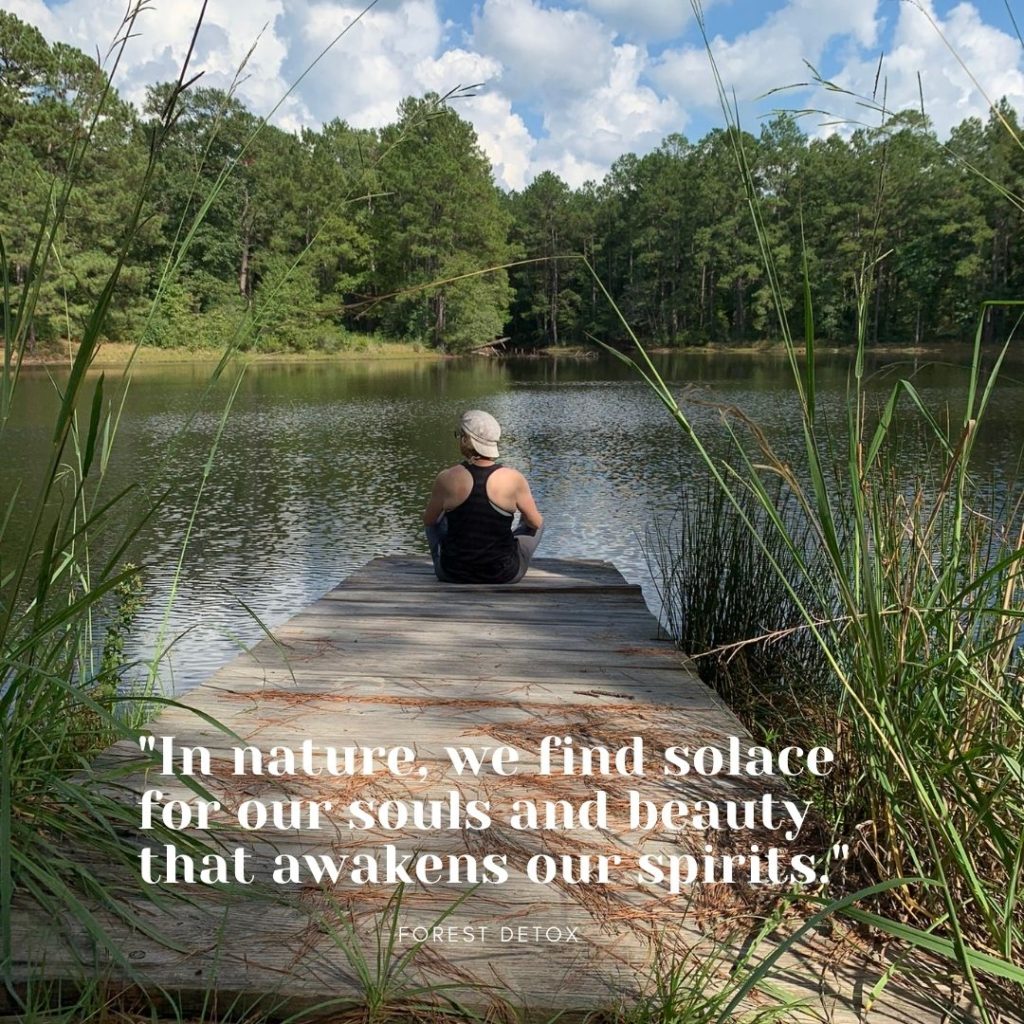 Forest Bathing and Eco Therapy – What is a Sit Spot?