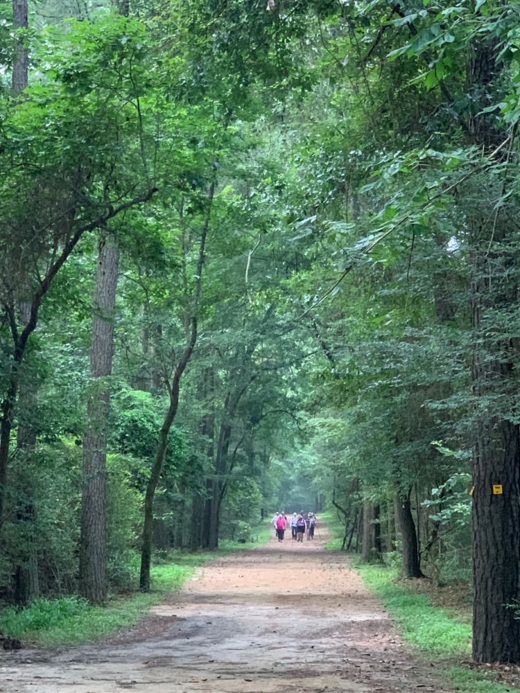 Beach vs Forest – Which do you prefer?