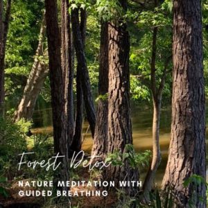 Image of Trees beside lake with the words Nature Meditation with Guided Breathing